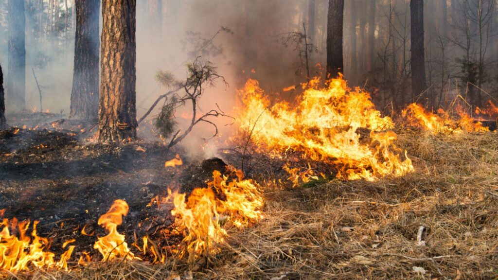 Alerta De Bandera Roja (Clima Propicio Para Incendios)