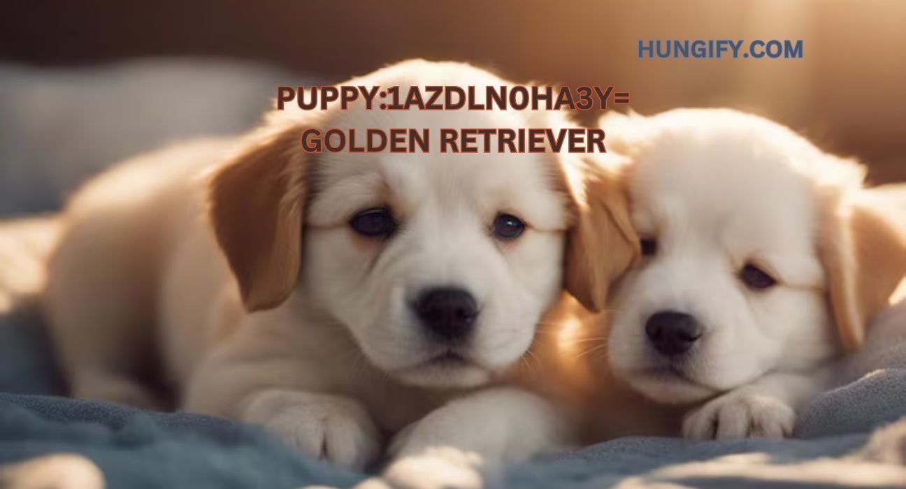 puppy:1azdln0ha3y= golden retriever