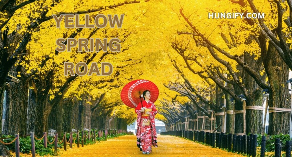 Yellow Spring Road