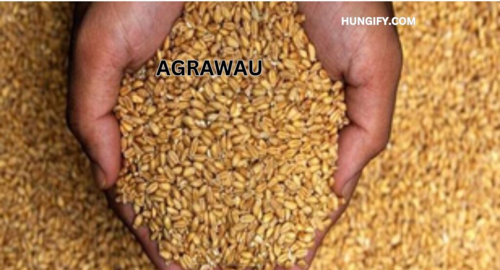 agrawau